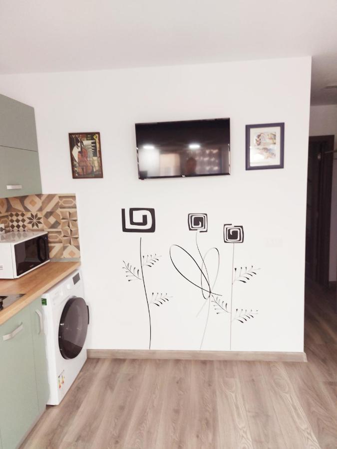 Apartament Cuza 21 Braiła Zewnętrze zdjęcie